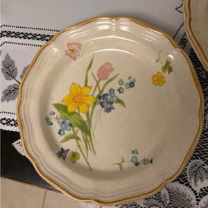 Vintage 1970s Mikasa Garden Club Early Spring 8in plate